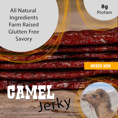 🐪 Camel Jerky – Taste the Wild Desert