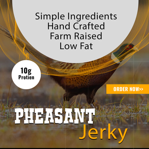 Pheasant